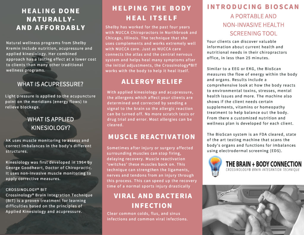 Chiro Brochure 2 1024x791